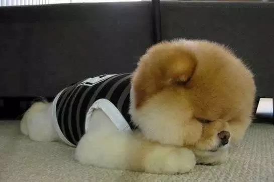 春节后上班第一天，据说你是这样的！