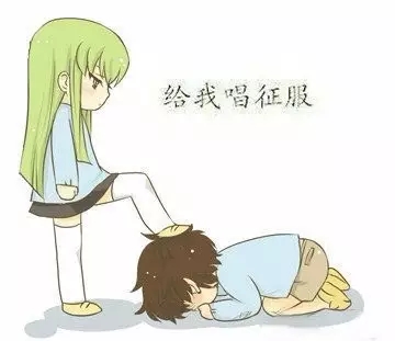 我的老婆是知识产权律师