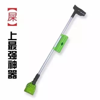 如何做一名合格的铲屎官？