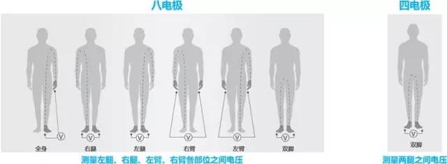 这款神器能检测出「朋友圈晒的健身步数」是否是假运动？