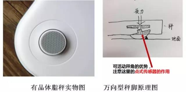 这款神器能检测出「朋友圈晒的健身步数」是否是假运动？