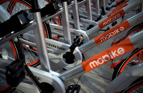 引证商标被撤三！摩拜公司“MOBIKE”商标注册不具有在先注册障碍