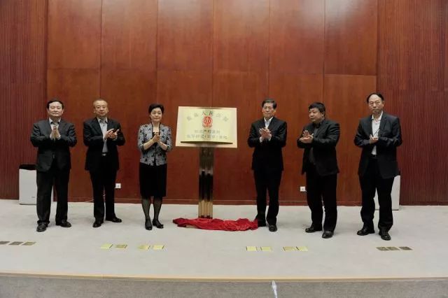 《最高人民法院工作报告》系列访谈之“知识产权司法保护篇”