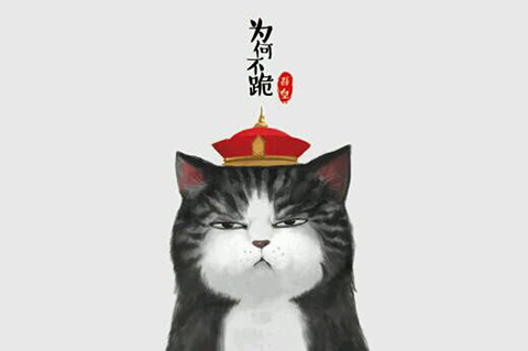 「吾皇万睡」商标驳回复审决定书！