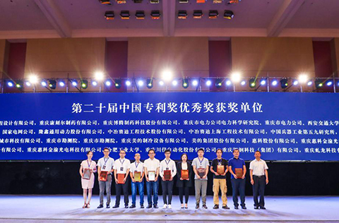 助推产业发展 2019中国（重庆）知识产权产业服务峰会启幕