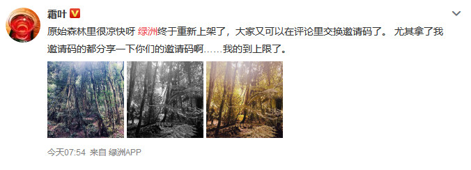 版权问题困扰，微博旗下的“绿洲”APP会变“荒漠”吗？