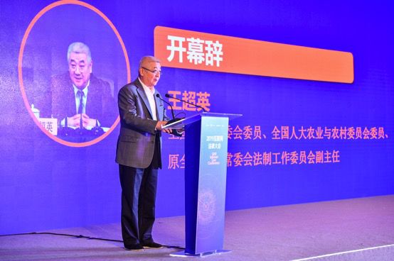 “技术+法律+共治” 2019互联网法律大会首倡创新数字经济时代治理体系