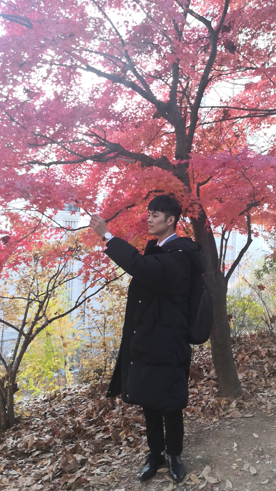 韩国知识产权交流参访活动成功举办！对话顶级韩国IP所与韩国特许厅等机构