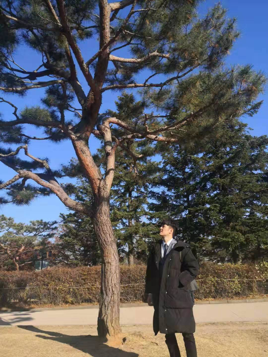 韩国知识产权交流参访活动成功举办！对话顶级韩国IP所与韩国特许厅等机构