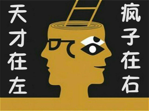 《天才在左 疯子在右》，侵权在右，维权在左？