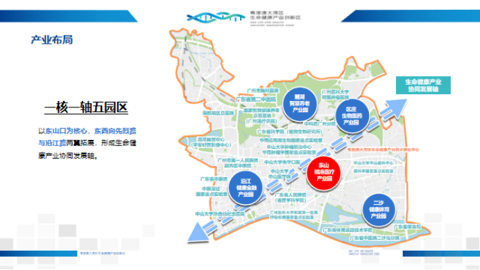 2020粤港澳大湾区生命健康产业知识产权运营与科技成果转化研讨会成功举办
