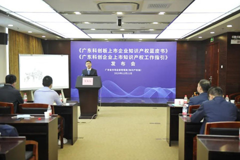 《广东科创企业上市知识产权工作指引》发布（附：全文）