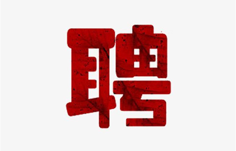 聘！ZEKU哲库科技招聘「专利律师/专利工程师」