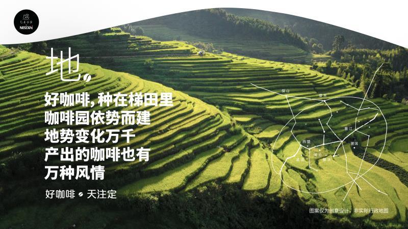 助力打造中国咖啡版图，雀巢咖啡感CAF，新品再现云南咖啡独特之美