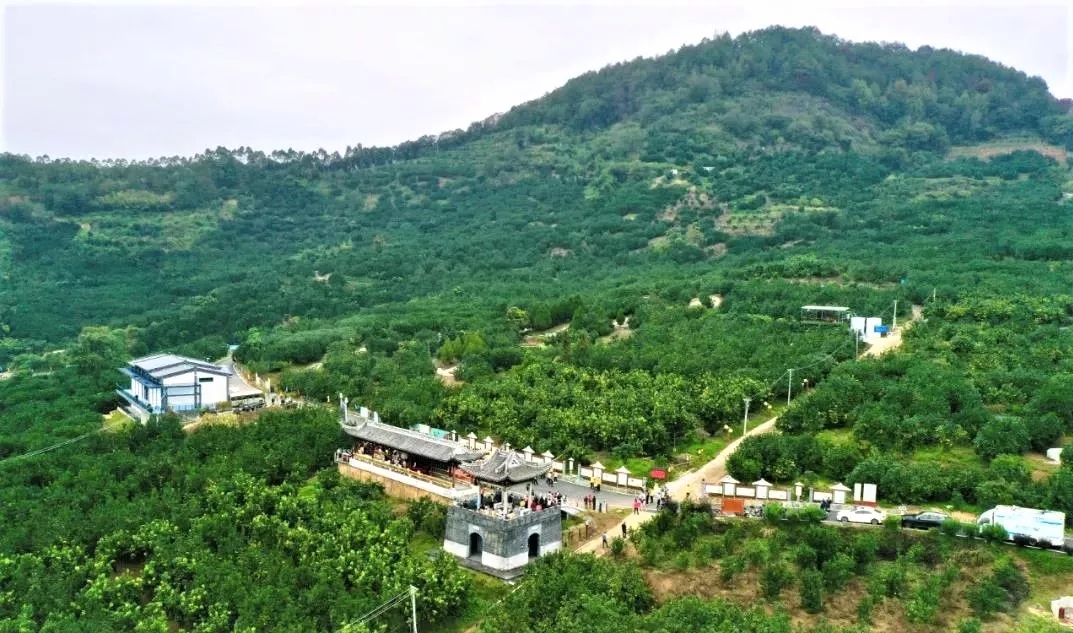 打“卡”地图的IP解析（三）| 寻味地理标志—梅州柚树兴，农人日子旺​
