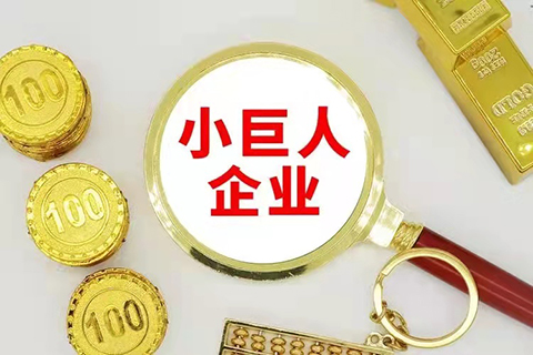 《关于大力培育“专精特新”中小企业促进高质量发展的若干意见（公开征求意见稿）》全文！