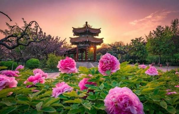 国庆地标游：七天乐游天下，河南地标带你吃喝玩乐！