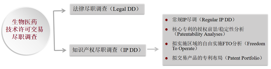 生物医药技术许可交易License-in/out中的考量要点之知识产权尽职调查