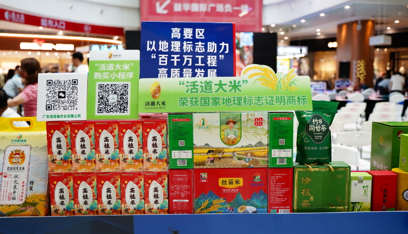 “进步迅速”！ 肇庆市加强知识产权保护，赋能新质生产力发展！