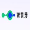 专业评测显示：智慧芽AI Agent查新检索能力远超通用大模型 